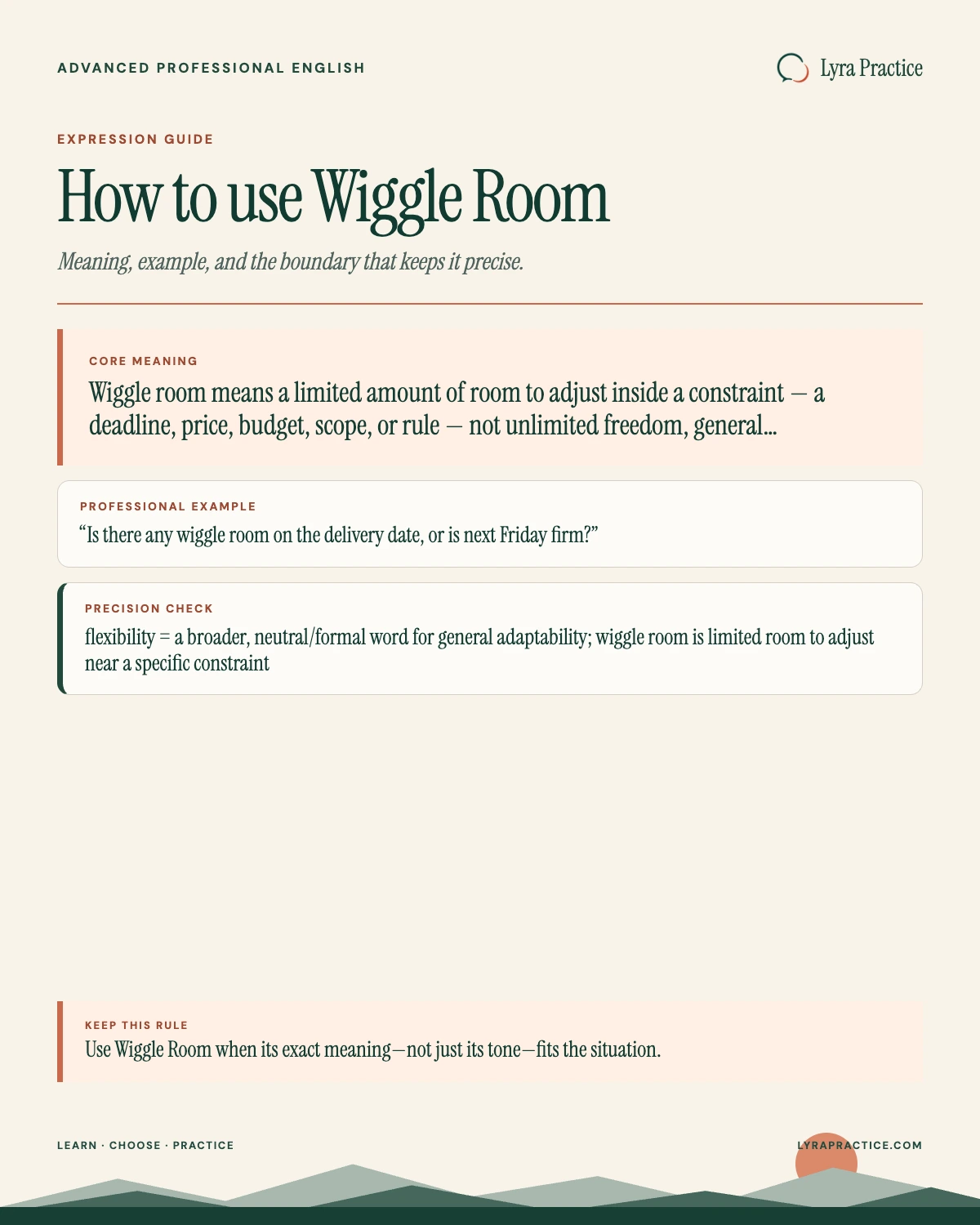 Wiggle Room meaning and professional English usage guide with an example and usage boundary